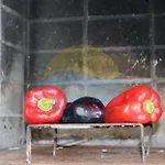 Prázdninový dům Pagall - Con Piscina Privada Y Cerca La Playa De Riumar - Deltavacaciones Deltebre